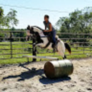 Meet your Posher, Joy